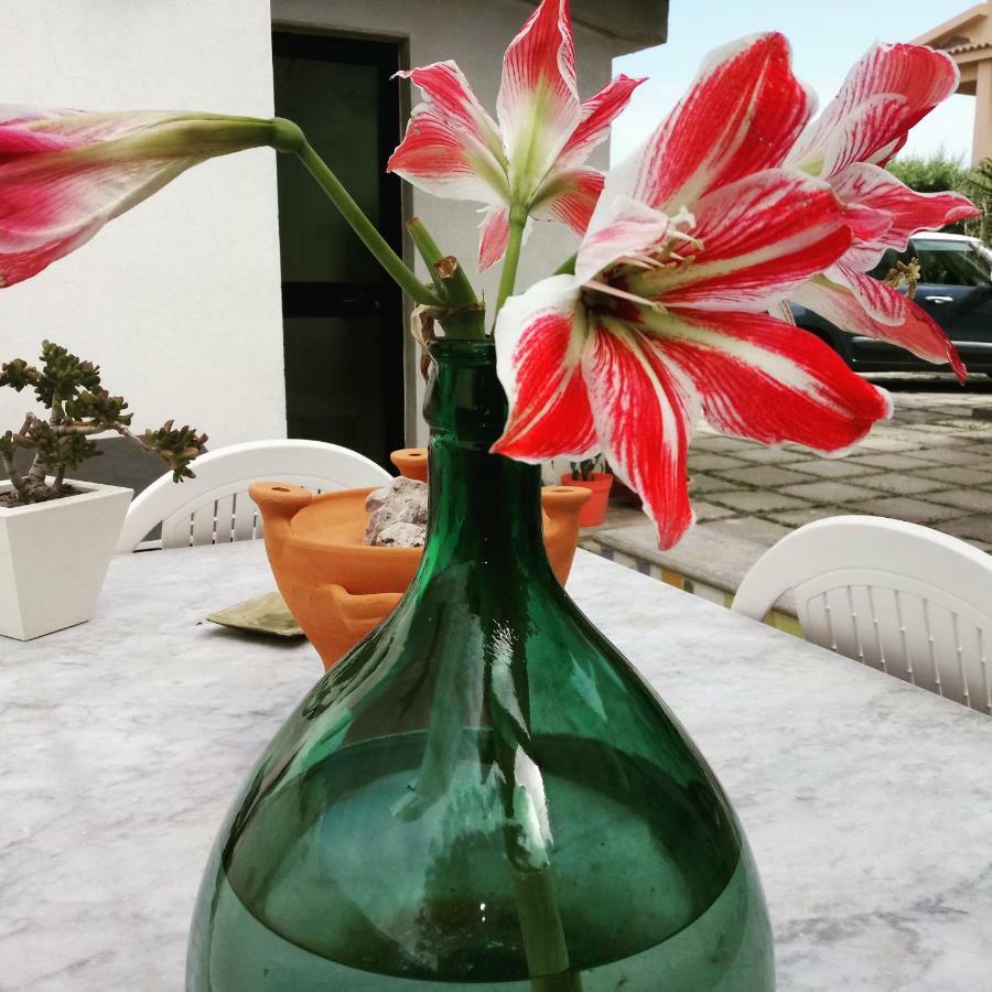 Idria B&B バルチェッローナ・ポッツォ・ディ・ゴット エクステリア 写真